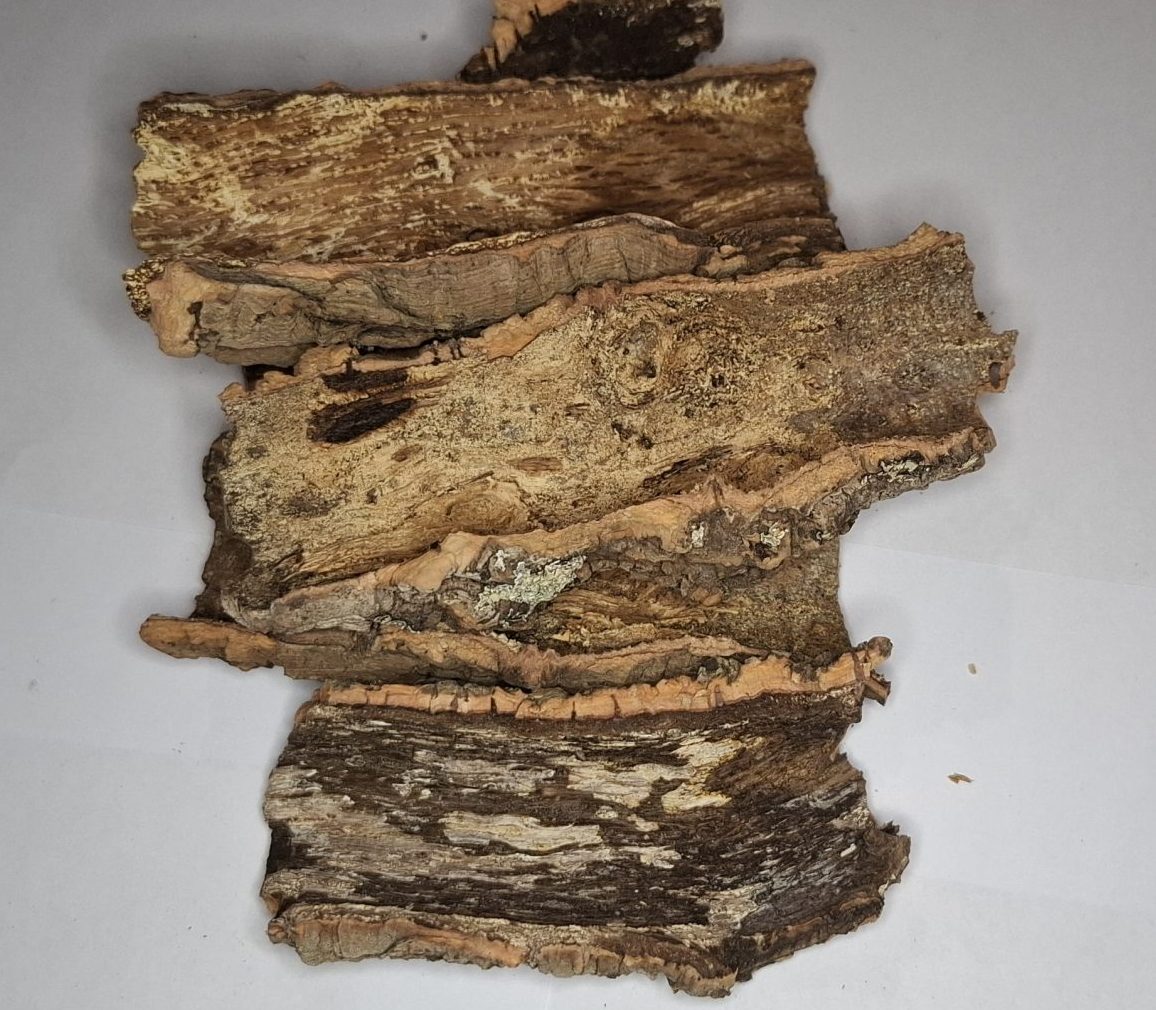 Mini Cork Bark Hides - Isopod Farms