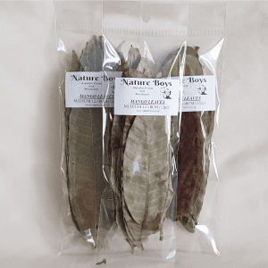 Mango Leaves 12-18CM (10 piece)
